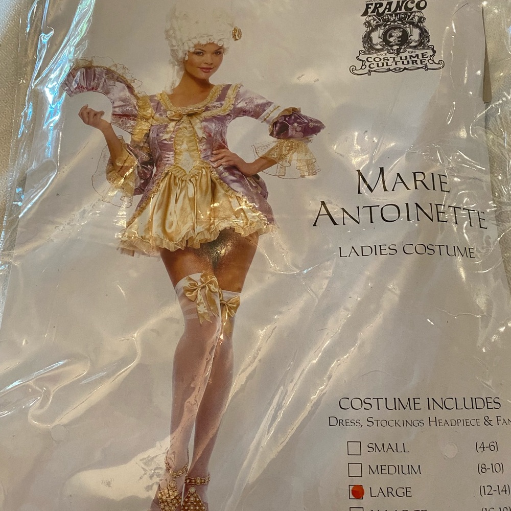 Marie Antoinette Costume